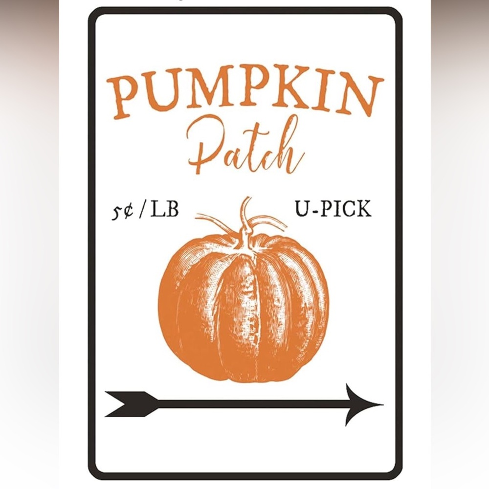 NWT PUMPKIN 🎃 PATCH METAL SIGN